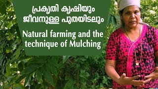 Natural Farming and the Technique of Mulching | പ്രകൃതി കൃഷിയും ജീവനുള്ള പുതയിടലും