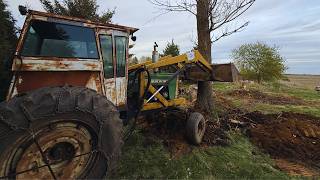 EPIC Tree Removal: Watch This Giant Fall in Minutes