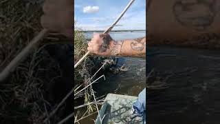 Point-aux-chenes Louisiana fishing