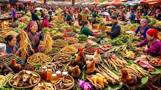 CHỢ ĐỒ RỪNG LỚN NHẤT CÁC TỈNH TÂY BẮC ĐẦU NĂM - ĐỒ RỪNG, DƯỢC LIỆU BÁN NGẬP LỐI | CHỢ BẮC HÀ LÀO CAI