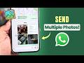 How to Send Multiple Photos in WhatsApp [Select and Share]