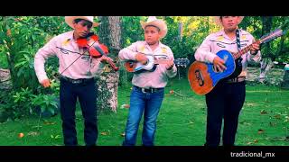 El Trio El Gavilan de ixcatepec Ver. interpreta El Caiman