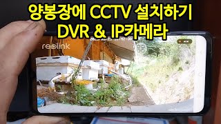 양봉장에 CCTV 자가 설치하기 DVR \u0026 IP카메라