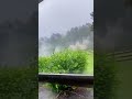 lightning strikes in garden