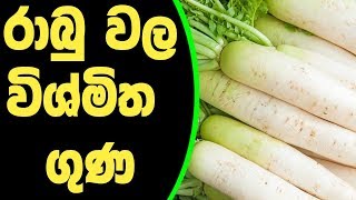 රාබු වල විශ්මිත ගුණ - Amazing properties of radish