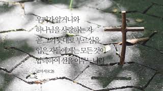 [무료저작권 No Copyright - 오늘의 말씀] 기독교 | 바탕화면 | 십자가 | 그림자 |  공원 | 말씀 | 소니 A99II