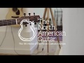 Avian Ibis Deluxe Mahogany Electro Acoustic Guitar Played By Will McNicol (Part One)