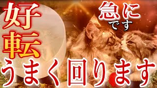 大吉・大福・大好転※順調に事が進み、あなたの大切な時間は充実した幸せな時間に好転していきます。