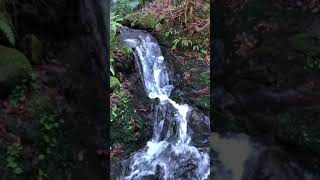 白山比咩神社の琵琶滝