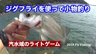 海フライ　汽水域の小物釣り　2019/フライフィッシング