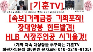 [주식투자]HLB([속보]거래급증 기회포착!장대양봉 힌트발견!/HLB 시장주인공 시기올것!)