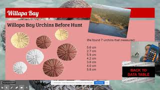 Urchin Measuring Data Table
