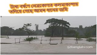 টানা বর্ষণে নেত্রকোণার কলমাকান্দায় তলিয়ে গেছে আমন ধানের জমি