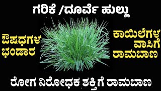 ಪೂಜೆಗೆ ಶ್ರೇಷ್ಠವಾದ ಗರಿಕೆ ಹುಲ್ಲಿನಲ್ಲಿ ಎಷ್ಟೊಂದು ಔಷಧಿಗಳಿವೆ ಗೊತ್ತಾ!!? ಮದುಮೇಹಕ್ಕೆ ರಾಮಬಾಣ #ಗರಿಕೆಹುಲ್ಲು