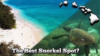 Swimming with Finding Nemo characters - Hawaii Vlog #6 (Kailua Beach, Shark's Cove)