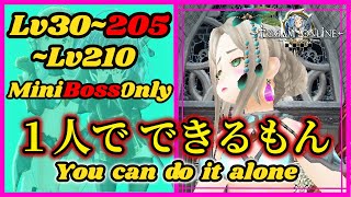 トーラム【最速フィールドボスでレベル上げ】 Toram【Mini Boss Fast Leveling 30-210】【レベル30～205～210】【FBレベリング】