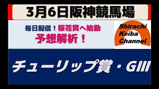 【競馬予想】GⅢチューリップ賞2021年3月6日 阪神競馬場