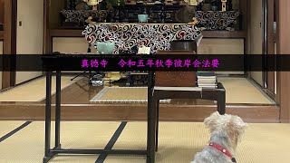 真徳寺　令和五年　秋季彼岸会法要