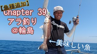 石川県輪島に幻の魚を狙いに行ったらISAJIGUをフグに持ってかれた日