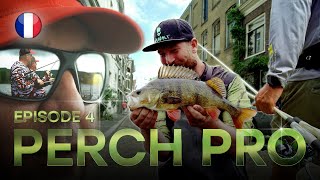 PERCH PRO 10 - Épisode 4 (version française)