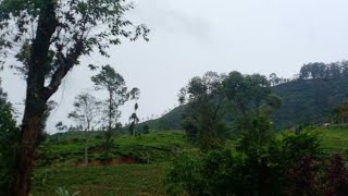 Sri Lanka nature இலங்கை இயற்கை