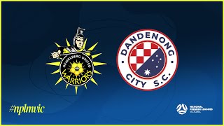 2024 NPLMVIC Round 26: Heidelberg United FC v Dandenong City SC