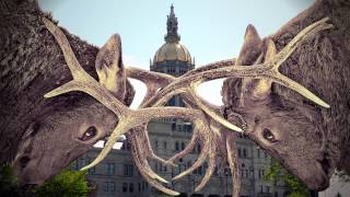 Unlocking Connecticut's Potential
