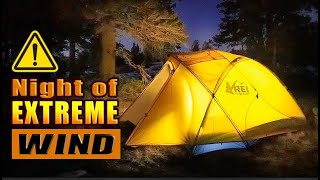 Solo Camp in 80 -100 MPH WIND STORM at Carson Pass | Sierra Nevada Mountains