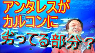 【村田基】アンタレスVSカルコン！アンタレスがカルカッタコンクエストに負けている部分はなんですか？