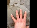 Natural Fracture SPLIT to Open HUGE Dino Stone!! 🪨🦕 #shorts #beach