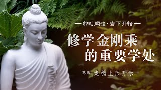 龙德上师：修学金刚乘的重要学处