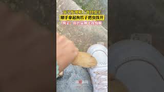 女子發現鞋上有蟲子，借狗爪一用 #shorts #狗狗 #搞笑