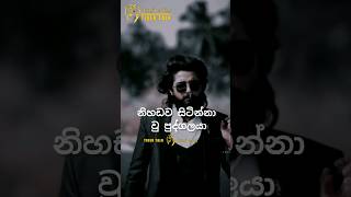 අපහාස දරාගන්න පුරුදු වෙන්න|Sinhala Motivation video #motivation #sinhalamotivational #quotes