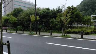 ウェザーリポート動画0814@神奈川県横須賀市14:10「しとしと雨が降っています」