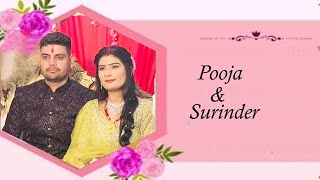 Wedding Ceremony || Pooja  weds Surinder|| Live by Ramesh Studio Karsa Dod mob.98136-40128