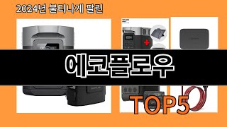 에코플로우 2024 최강 알리익스프레스 추천 Top 10