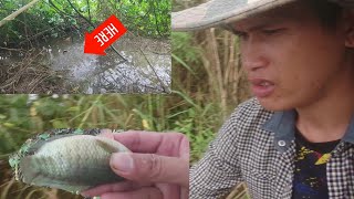 Trãi Nghiệm Đi Câu Cá Rô Ngoài Kênh Lớn | TSon Vlog #tsonvlog #fishing #fish