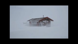 Heavy Snowstorm Sounds For Sleeping, Relaxing . Blizzard Snow Howling Wind Winter Storm Ambience