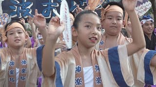 「神楽坂かぐら連」組踊り - GT会場  第54回中目黒夏まつり（2019.8.3）