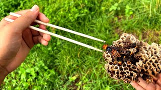 スズメバチの巣の中身を全部食べてみた