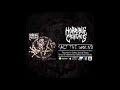 horrible creatures salt the wound official audio