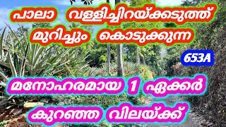 1 ഏക്കർ കുറഞ്ഞ വിലയ്ക്ക് ❤️ പാലാ വള്ളിച്ചിറ    #kerala #home #kottyam #pala #houseforsale #land 653A