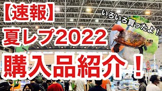 日本最大級の爬虫類イベントJRSでの購入品紹介！！