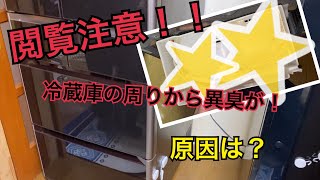 【冷蔵庫裏側お掃除】冷蔵庫の周りから異臭が⁉︎原因は？【片付け】