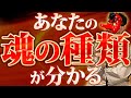 【四魂の見分け方 】魂は4つのタイプに分かれます。