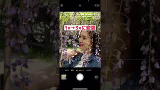 藤の花と綺麗に撮る撮り方 #shorts #iphone #iphone撮影