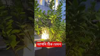 নির্মম সত্যতা ||  #amazing #vairalvideo #shorts #shortvideo #vairalvideo