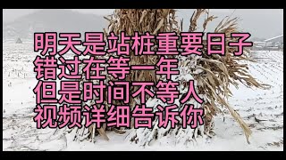 站桩的目的是什么意思你要知道一定要明确目的，这个目的给带来啥