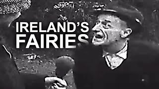 Irish People TERRIFIED of Fairies | Televised Éireann