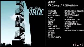 Vitalic - Polkamatic